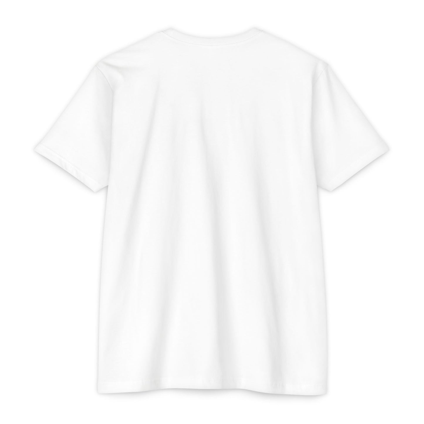 Monaco Grand Prix Unisex T-shirt|  f1 gift for him\ her|  Gift for Racing Lovers |  F1 Gift Idea | | F1 Lover Gift| Formula 1 Shirt